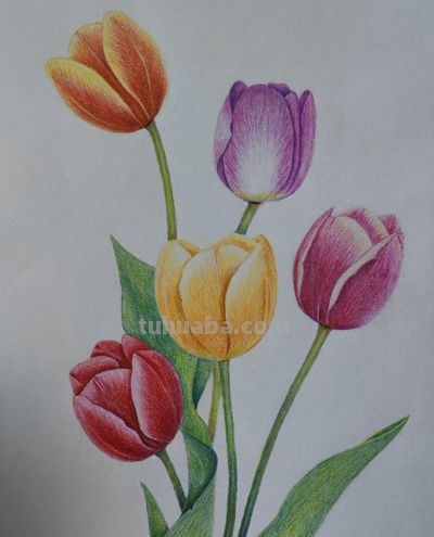 彩铅韵味 - 今日头条