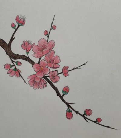 彩铅韵味 - 图画吧TUHUABA