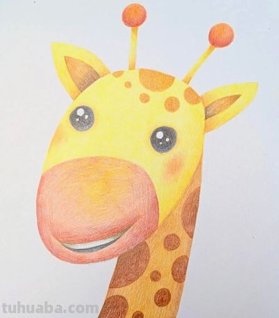 动物水彩画 - 图画吧TUHUABA