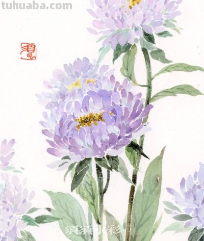 治愈风插画：花草、萌猫、古意小景，在画里找到治愈心灵的角落 - 图画吧TUHUABA