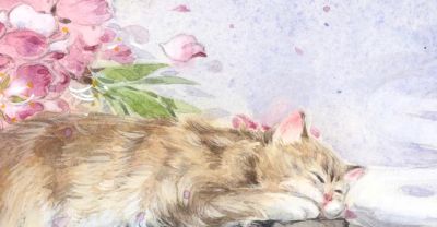 治愈风插画：花草、萌猫、古意小景，在画里找到治愈心灵的角落 - 图画吧TUHUABA