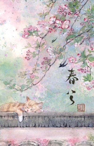 治愈风插画：花草、萌猫、古意小景，在画里找到治愈心灵的角落 - 图画吧TUHUABA