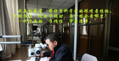 “90%的人都画错了!植物‘透视’的真相” - 今日头条 “90%的人都画错了!植物‘透视’的真相” - 图画吧TUHUABA