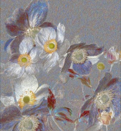 好梦幻的色彩，这静物花卉也太好看啦！ - 图画吧TUHUABA