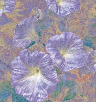 好梦幻的色彩，这静物花卉也太好看啦！ - 图画吧TUHUABA