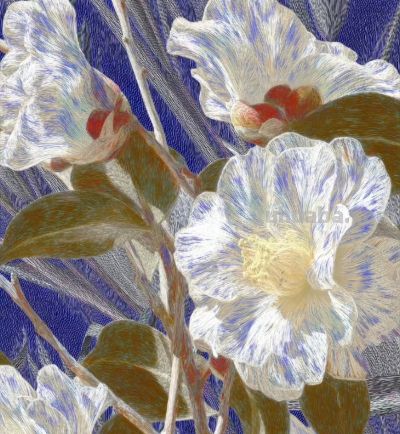 好梦幻的色彩，这静物花卉也太好看啦！ - 图画吧TUHUABA