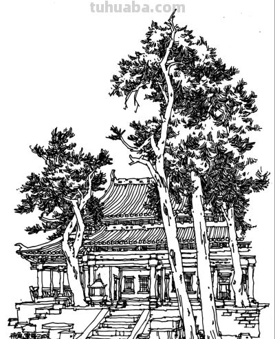 速写白描画 - 图画吧TUHUABA