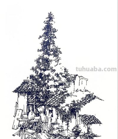 速写白描画 - 图画吧TUHUABA