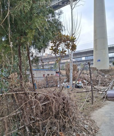 一个守墓人（钢笔速写） - 图画吧TUHUABA