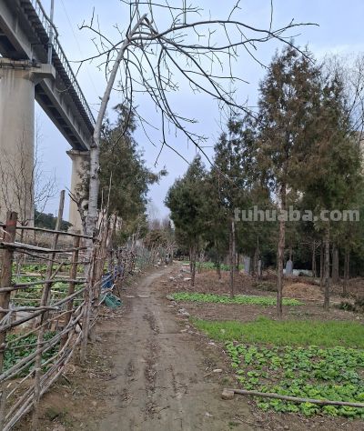 一个守墓人（钢笔速写） - 图画吧TUHUABA