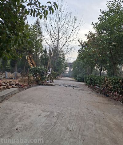 一个守墓人（钢笔速写） - 图画吧TUHUABA