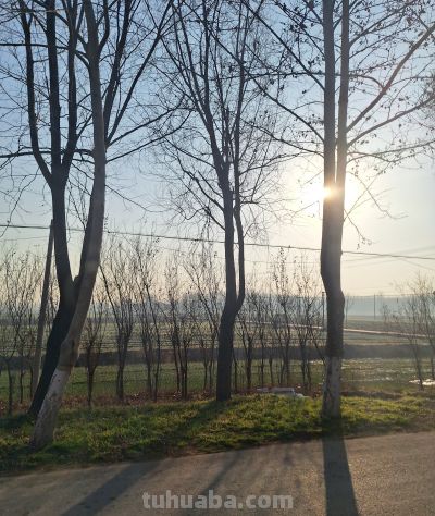 一个守墓人（钢笔速写） - 图画吧TUHUABA