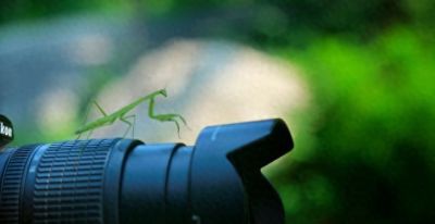 如何提升摄影技巧 - 今日头条