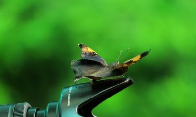 如何提升摄影技巧 - 图画吧TUHUABA