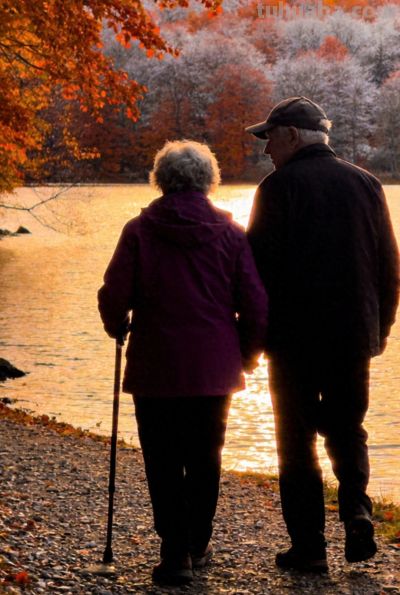 68岁王阿姨的摄影逆袭：三招让你的手机照片秒变“专业级” - 今日头条