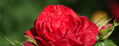 花花你可别弄送 - 今日头条