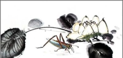水墨昆虫，画的太好了！ - 图画吧TUHUABA