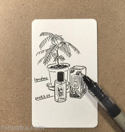 有笔就会画，简单极简植物画，初学者收藏 - 今日头条