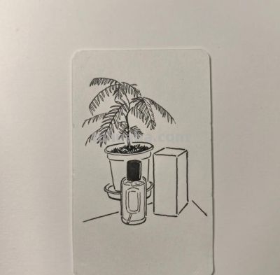 有笔就会画，简单极简植物画，初学者收藏 - 图画吧TUHUABA