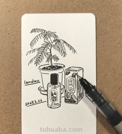 有笔就会画，简单极简植物画，初学者收藏 - 图画吧TUHUABA