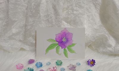 58 圣诞玫瑰（绘画 水彩 果花甘06） - 图画吧TUHUABA