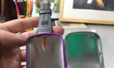 居家旅行水彩写生必备神器 - 图画吧TUHUABA