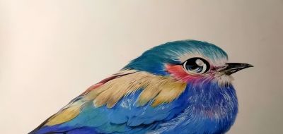 彩铅画是什么？我们如何学彩铅？ - 图画吧TUHUABA