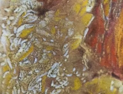 彩铅画是什么？我们如何学彩铅？ - 图画吧TUHUABA