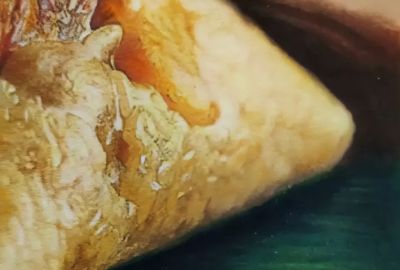 彩铅画是什么？我们如何学彩铅？ - 图画吧TUHUABA