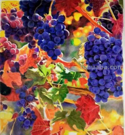 彩铅画是什么？我们如何学彩铅？ - 图画吧TUHUABA