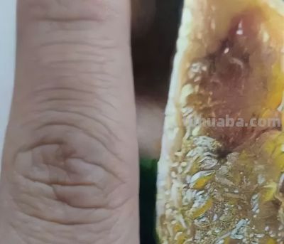 彩铅画是什么？我们如何学彩铅？ - 图画吧TUHUABA