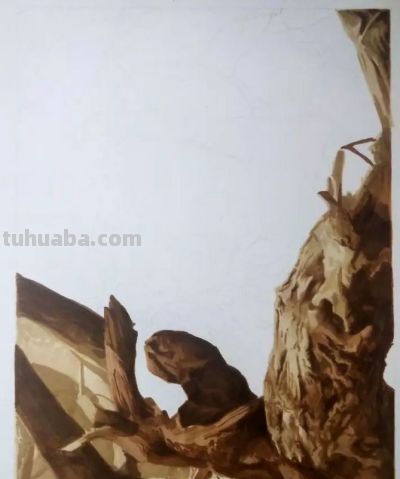 彩铅画是什么？我们如何学彩铅？ - 图画吧TUHUABA