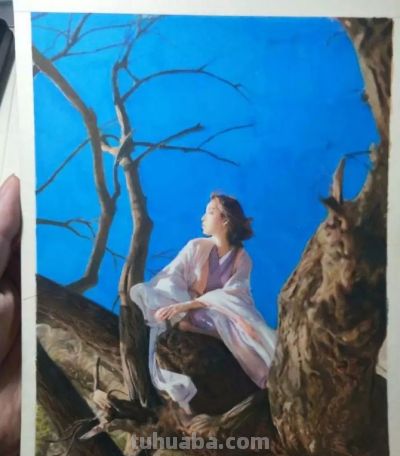 彩铅画是什么？我们如何学彩铅？ - 图画吧TUHUABA