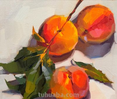 猛画37年色彩,她用大笔触把“入门”做到极致!美术生都看馋了 - 今日头条 猛画37年色彩,她用大笔触把“入门”做到极致!美术生都看馋了 - 图画吧TUHUABA