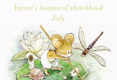 日本插画师Makiko Inatome的一组温柔治愈的水彩童话插画 - 今日头条