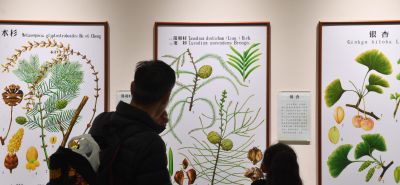 梅花谷看展去,南林大老师笔下植物科学画原来这么美 - 今日头条 梅花谷看展去,南林大老师笔下植物科学画原来这么美 - 图画吧TUHUABA