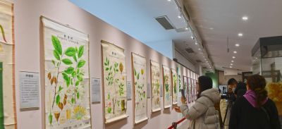 梅花谷看展去,南林大老师笔下植物科学画原来这么美 - 今日头条 梅花谷看展去,南林大老师笔下植物科学画原来这么美 - 图画吧TUHUABA