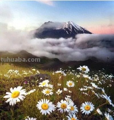 别浪费手机广角！这5个隐藏技巧，拍出不一样的高级感 - 今日头条