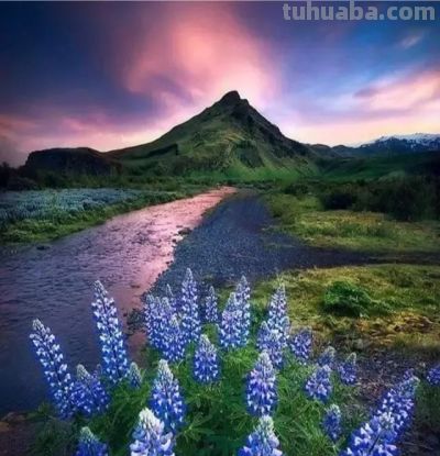 别浪费手机广角!这5个隐藏技巧,拍出不一样的高级感 - 今日头条 别浪费手机广角!这5个隐藏技巧,拍出不一样的高级感 - 图画吧TUHUABA