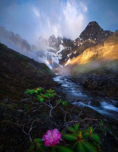 别浪费手机广角!这5个隐藏技巧,拍出不一样的高级感 - 今日头条 别浪费手机广角!这5个隐藏技巧,拍出不一样的高级感 - 图画吧TUHUABA