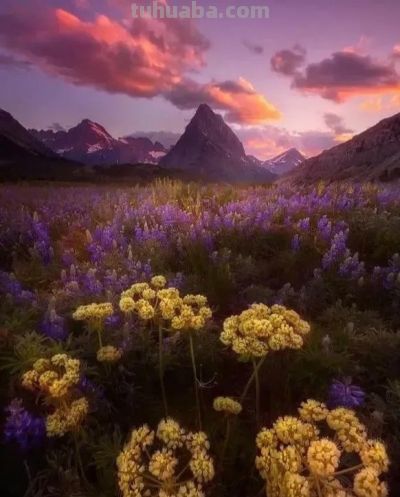 别浪费手机广角!这5个隐藏技巧,拍出不一样的高级感 - 今日头条 别浪费手机广角!这5个隐藏技巧,拍出不一样的高级感 - 图画吧TUHUABA