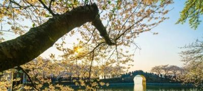 别浪费手机广角!这5个隐藏技巧,拍出不一样的高级感 - 今日头条 别浪费手机广角!这5个隐藏技巧,拍出不一样的高级感 - 图画吧TUHUABA
