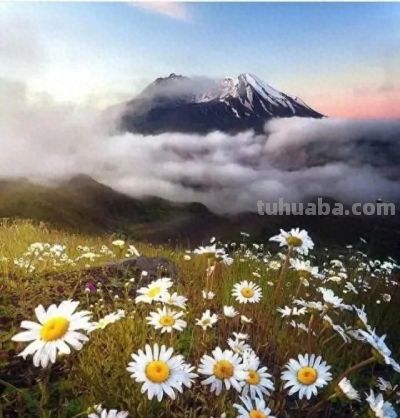 别浪费手机广角!这5个隐藏技巧,拍出不一样的高级感 - 今日头条 别浪费手机广角!这5个隐藏技巧,拍出不一样的高级感 - 图画吧TUHUABA