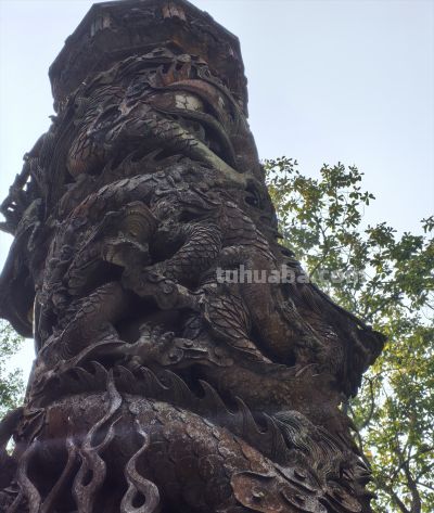 拍照怎么拍？技术含量很高吗？ - 图画吧TUHUABA