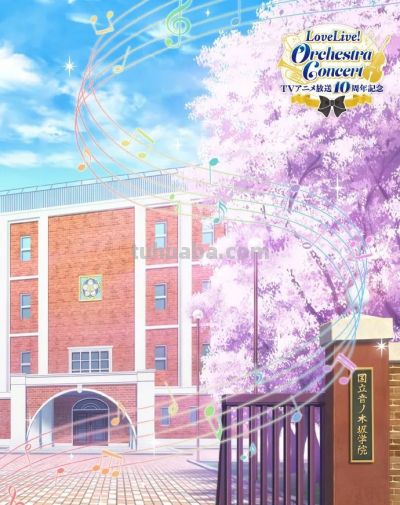 等到复活赛了？μ's重启海外活动，8月将在广州进行LoveLive!动画10周年公演 - 图画吧TUHUABA