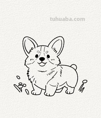 短腿柯基尾巴摇 简笔快乐没烦恼丨涂鸦简笔画分享 - 今日头条