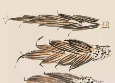 夏天别光吃瓜！跟我学两笔写意蔬果，墨香里自带清凉 - 图画吧TUHUABA