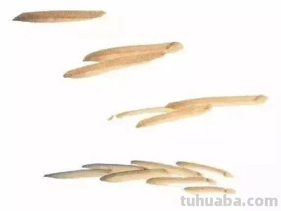 夏天别光吃瓜！跟我学两笔写意蔬果，墨香里自带清凉 - 图画吧TUHUABA