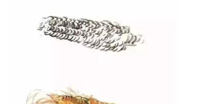 夏天别光吃瓜！跟我学两笔写意蔬果，墨香里自带清凉 - 图画吧TUHUABA