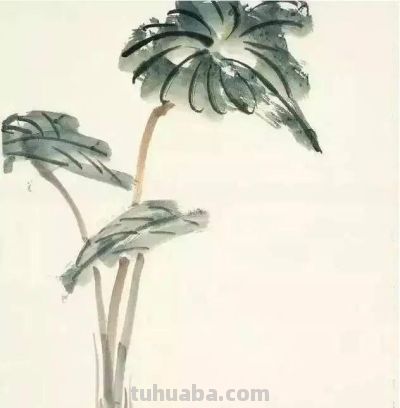 夏天别光吃瓜！跟我学两笔写意蔬果，墨香里自带清凉 - 图画吧TUHUABA